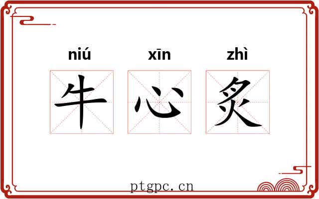 牛心炙