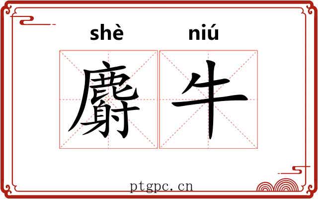 麝牛