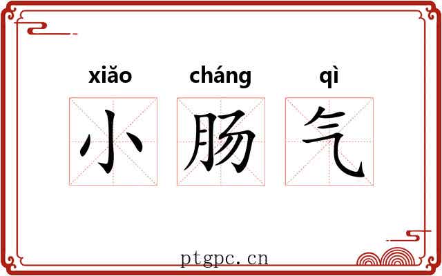 小肠气 小肠气