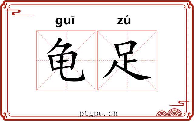 龟足 龟足
