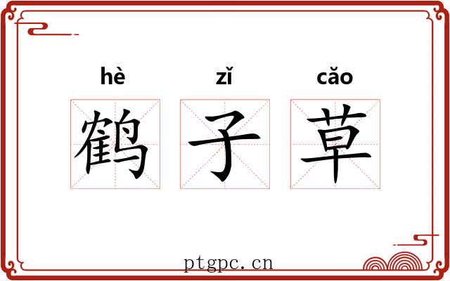 鹤子草 鹤子草