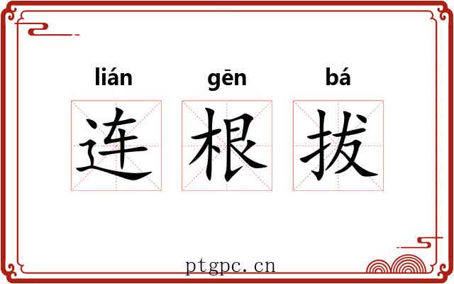 连根拔 连根拔