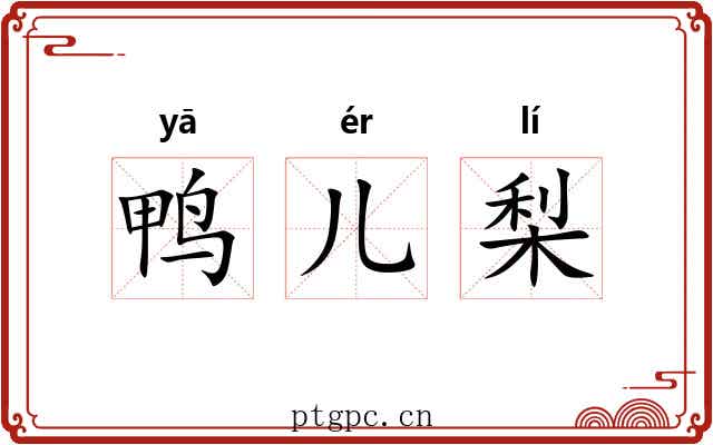 鸭儿梨