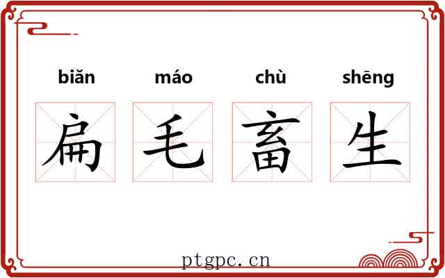 扁毛畜生 扁毛畜生