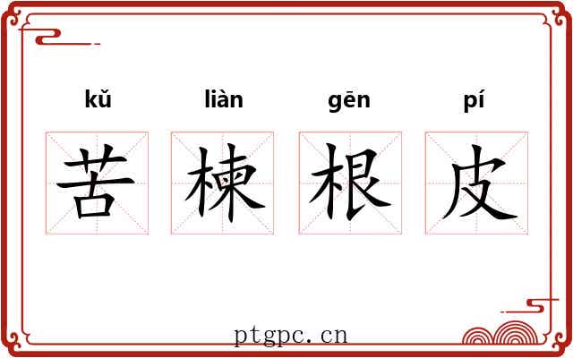 苦楝根皮
