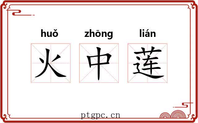 火中莲