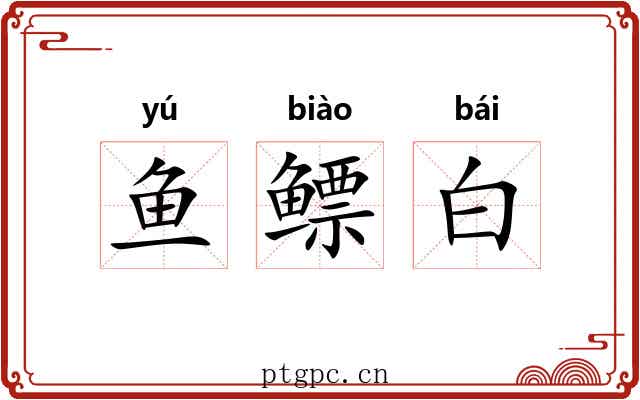 鱼鳔白 鱼鳔白