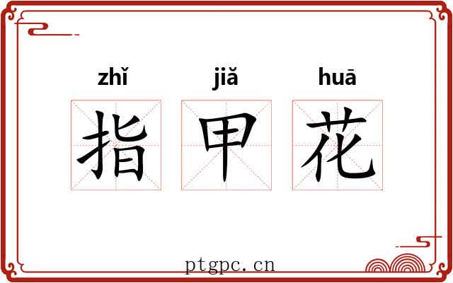指甲花 指甲花