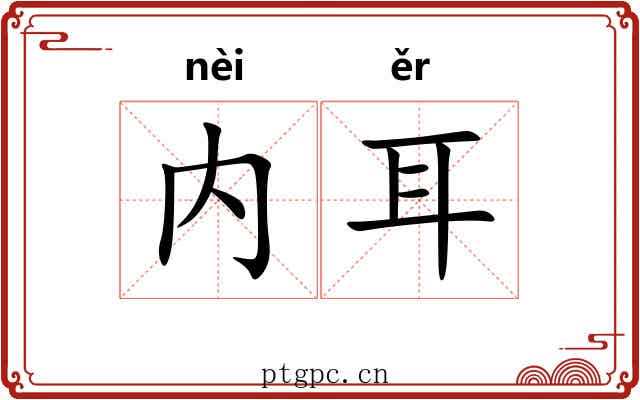 内耳 内耳