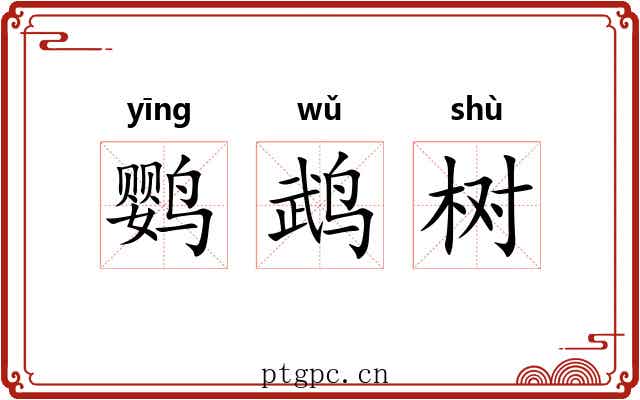 鹦鹉树