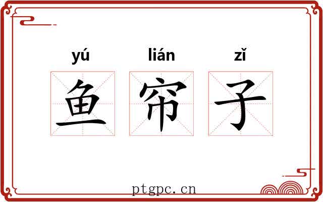 鱼帘子 鱼帘子