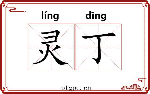 灵丁