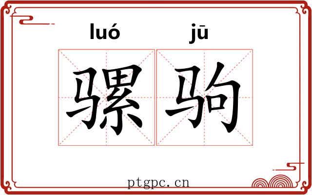 骡驹