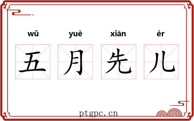五月先儿 五月先儿