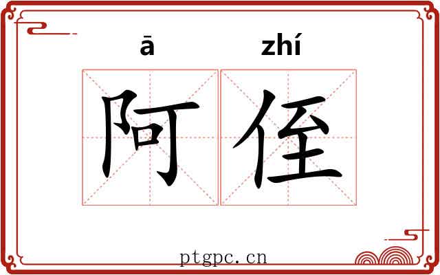 阿侄