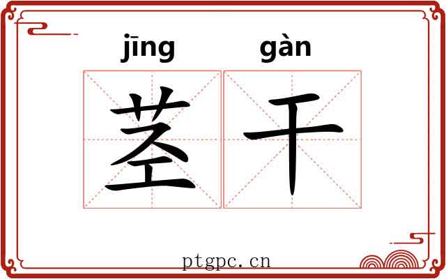 茎干 茎干