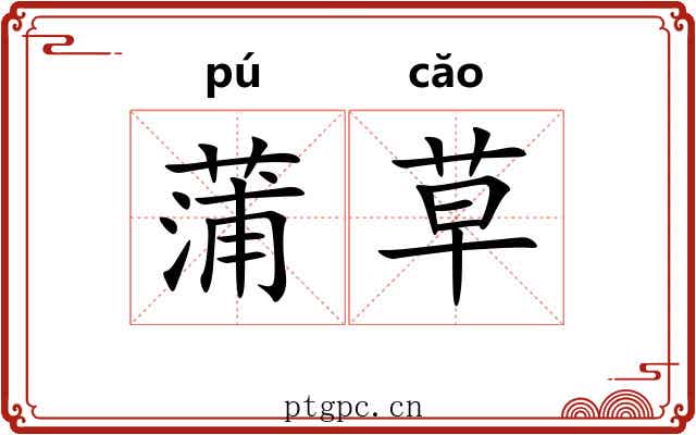 蒲草