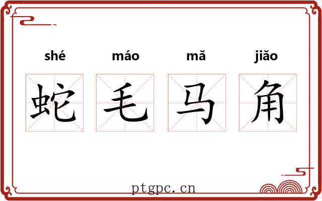 蛇毛马角 蛇毛马角