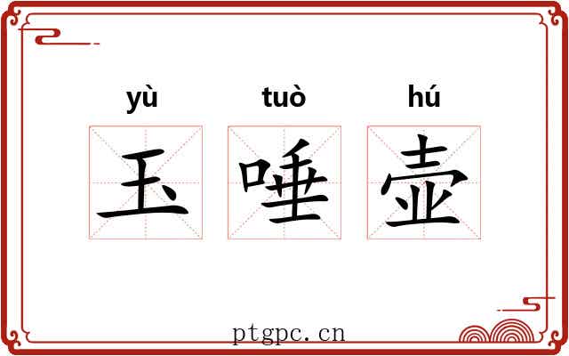 玉唾壶 玉唾壶