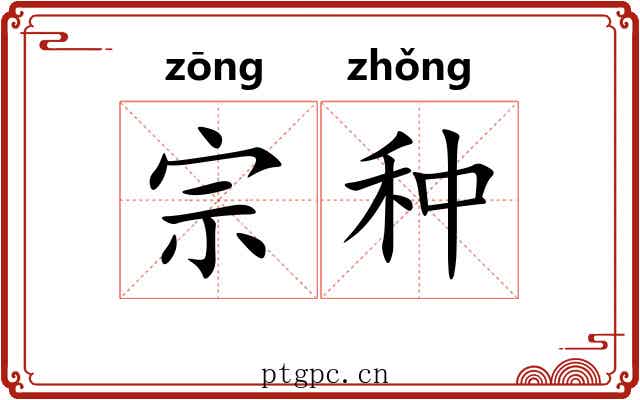 宗种 宗种