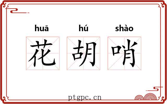 花胡哨 花胡哨
