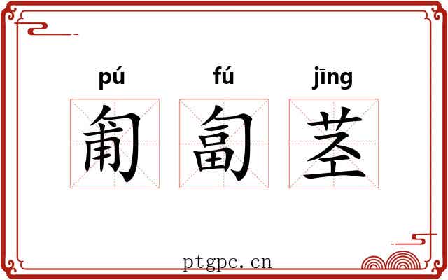 匍匐茎
