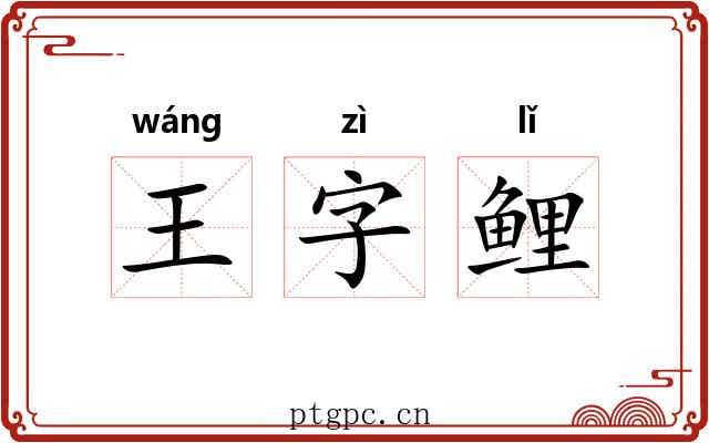 王字鲤 王字鲤