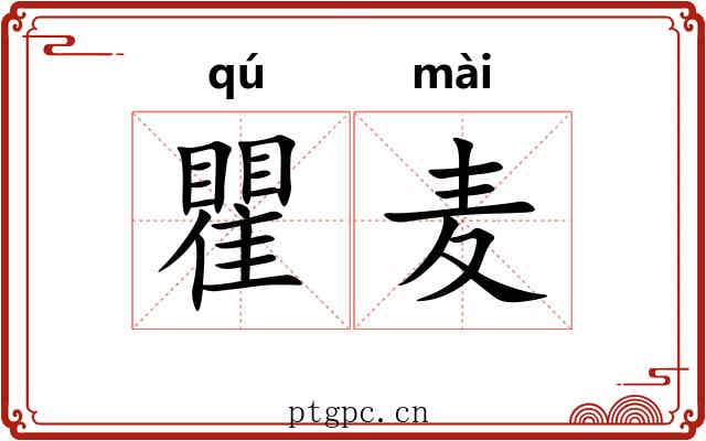 瞿麦