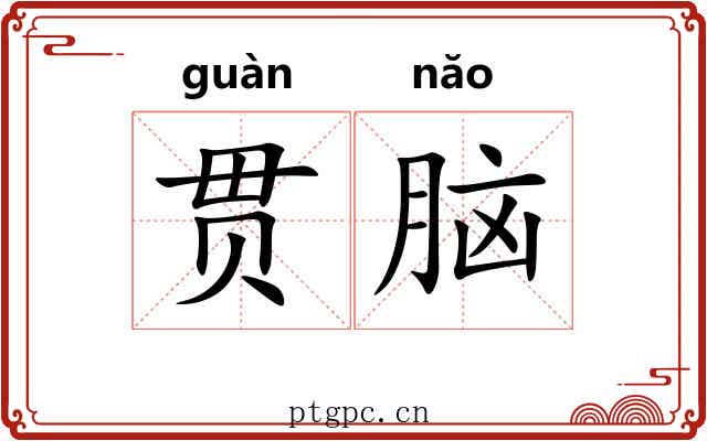 贯脑