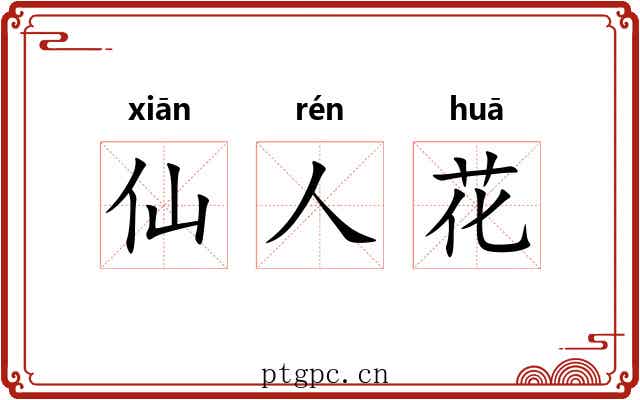 仙人花