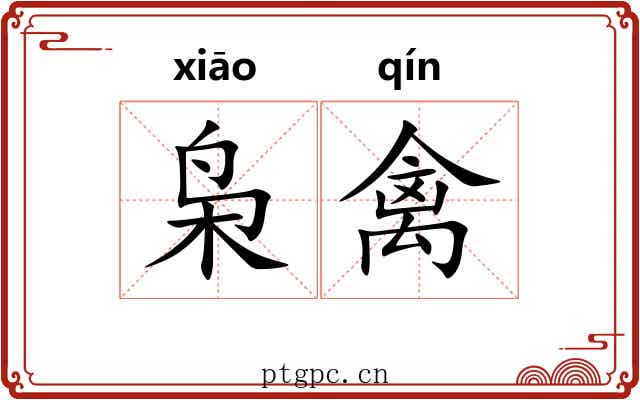 枭禽