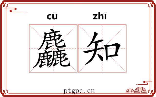 麤知