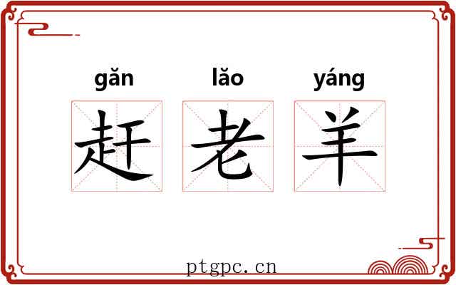 赶老羊 赶老羊