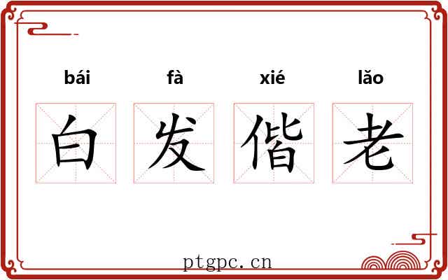 白发偕老 白发偕老