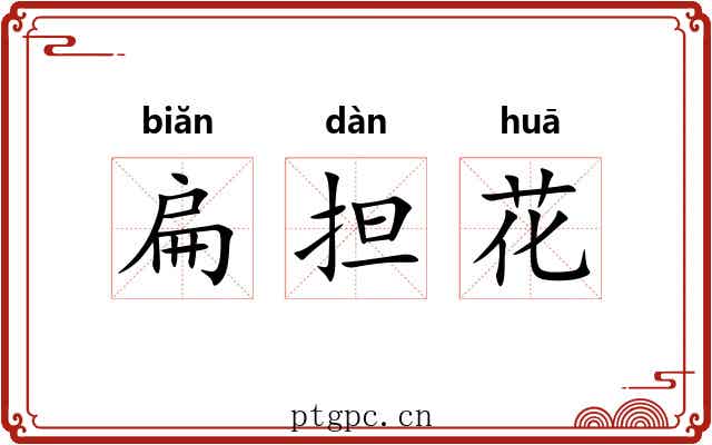 扁担花 扁担花