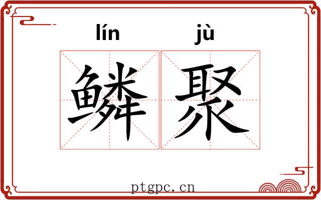 鳞聚