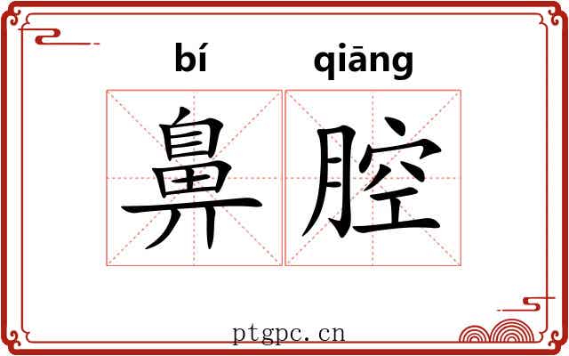 鼻腔