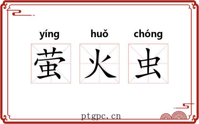 萤火虫 萤火虫