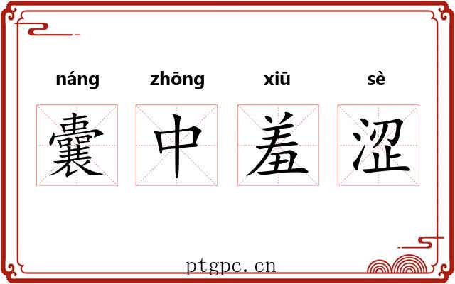 囊中羞涩