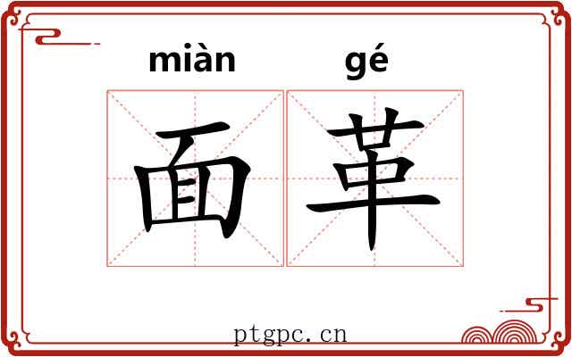 面革 面革