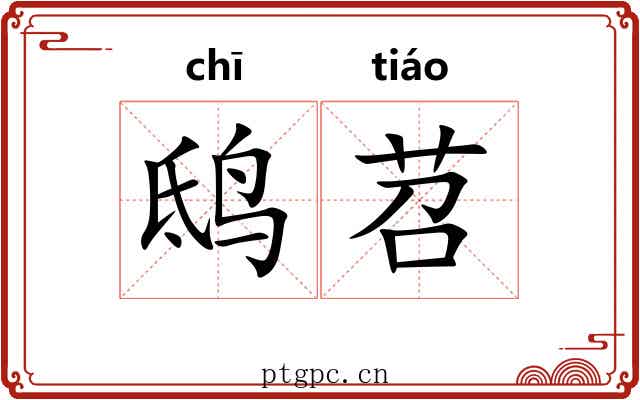 鸱苕