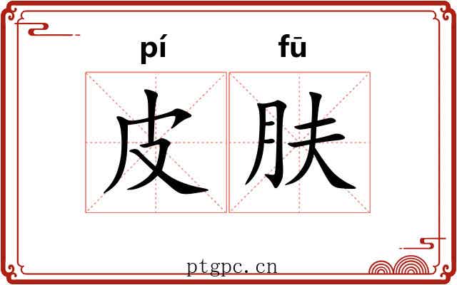 皮肤