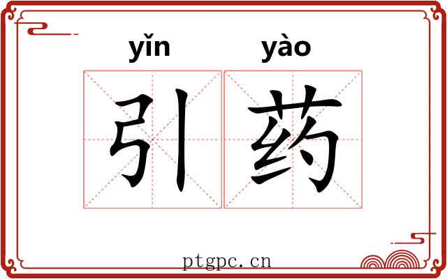 引药