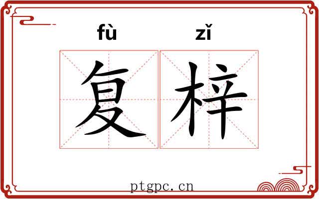 复梓