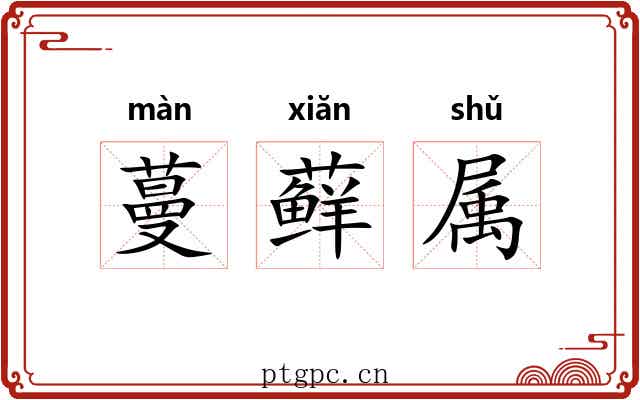 蔓藓属 蔓藓属