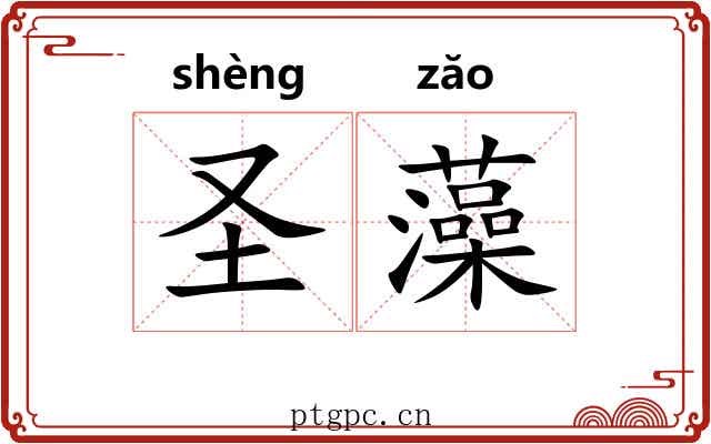 圣藻 圣藻