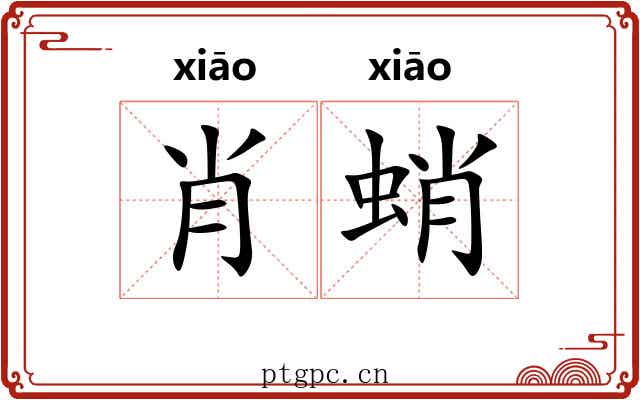 肖蛸