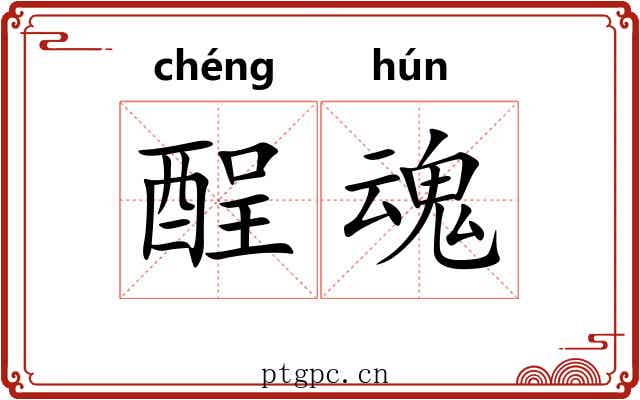 酲魂 酲魂