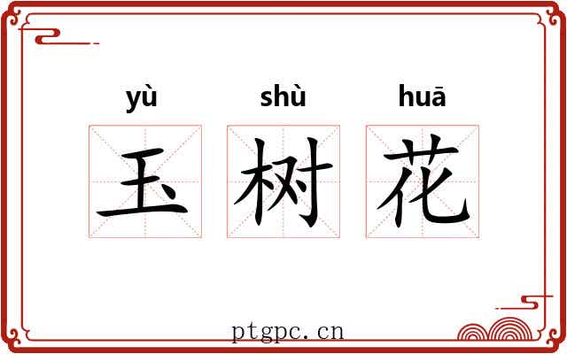 玉树花 玉树花