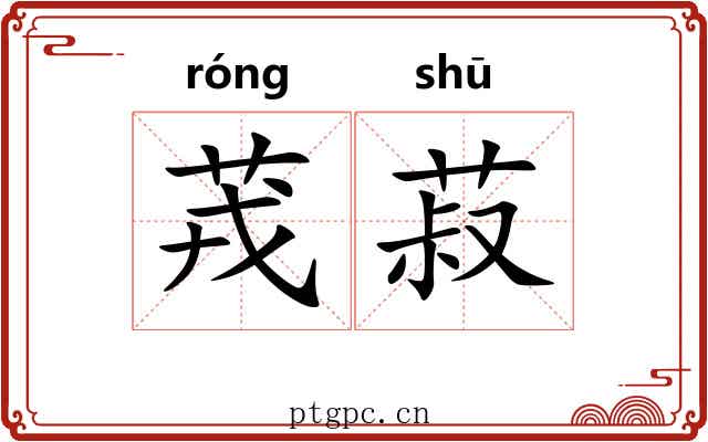 茙菽